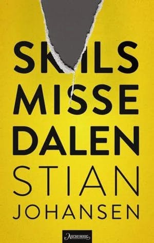 Omslag: "Skilsmissedalen : noveller" av Stian Johansen